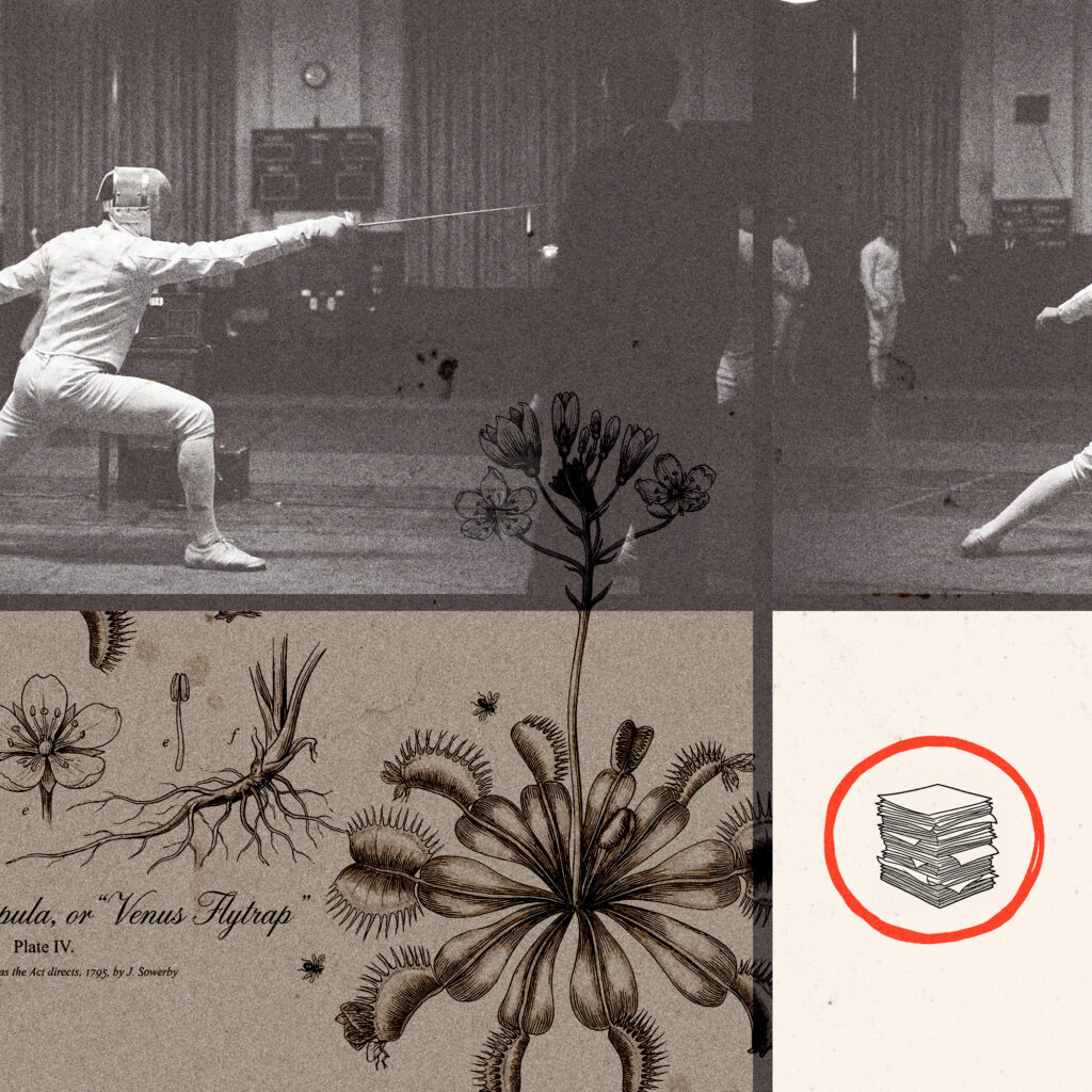 Bring us your toughest account - people fencing